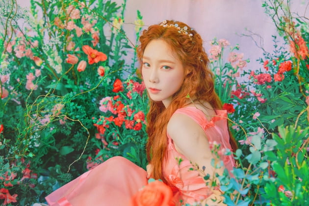  소녀시대 태연 사주없이 보는 관상 (눈관상, 상처많은 눈, 연애할 때 기준)