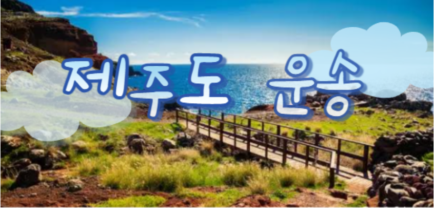  제주도운송 비용,제주 운반 가격 금액 알아보기!!(제주도 비용,제주운송,제주이사)