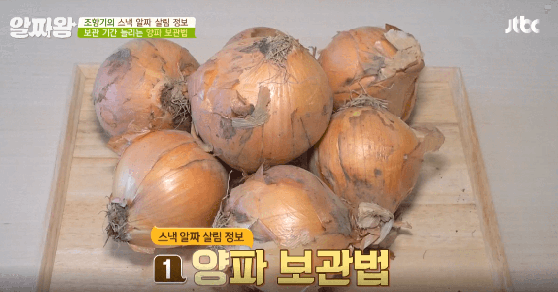  야채 싱싱하게 오래 먹는 냉장 보관 방법 - 파테크(알짜왕)