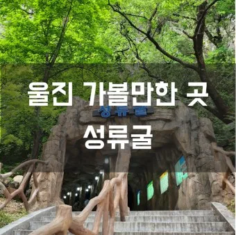 울진 가볼만한곳 베스트10 현지인 추천 필수코스_7