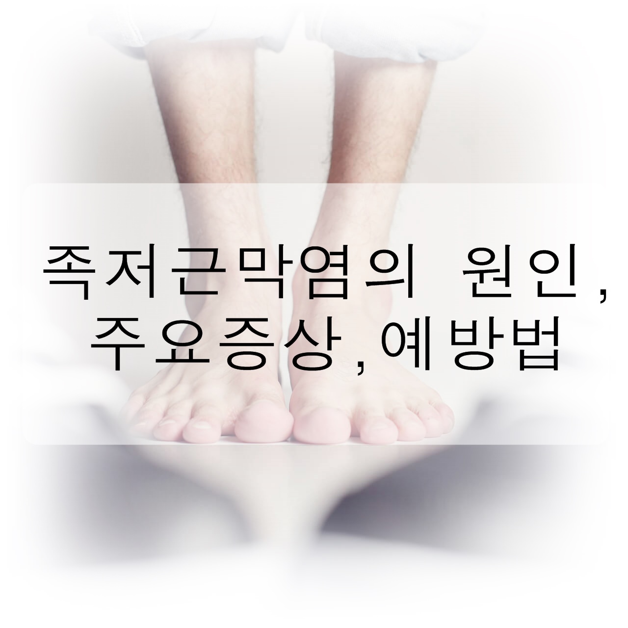  족저근막염 원인, 주요 증상, 예방법을 알아보자!!