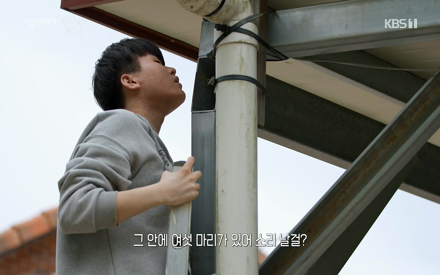 다큐 인사이트.E122.220825p.H264-F1RST.mp4_20220826_152320.526.jpg