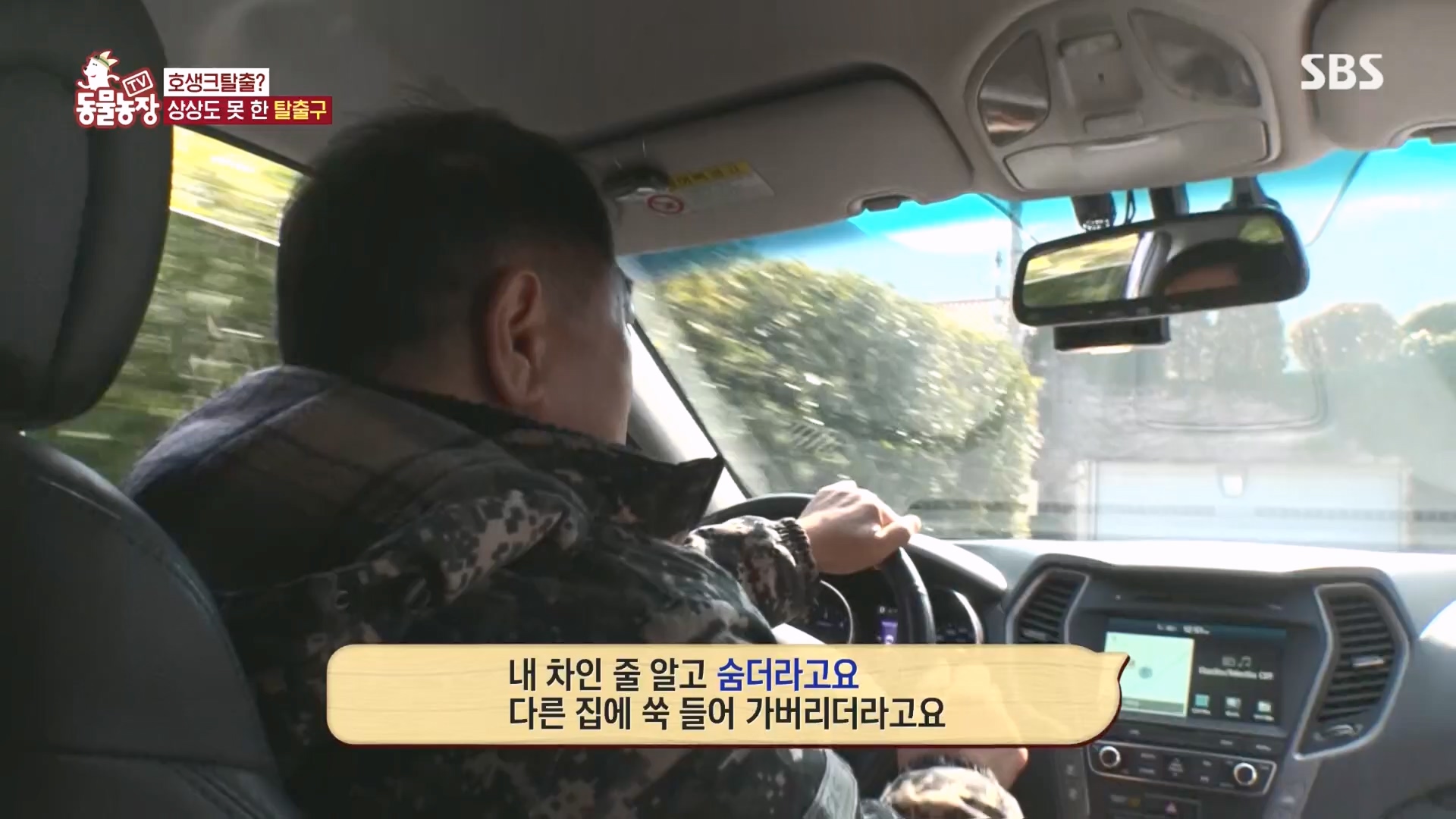 TV 동물농장.E1160.240225p.H264-F1RST.mp4_20240225_165132.199.jpg