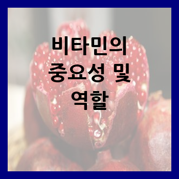  비타민의 중요성 및 역할