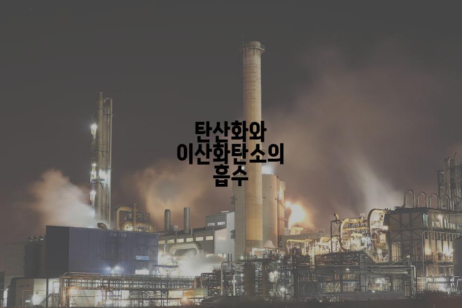 탄산화와 이산화탄소의 흡수