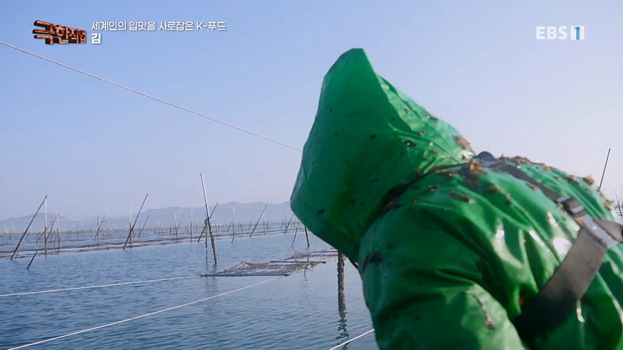 TV - 교육의 중심 EBS세계인의 입맛을 사로잡은 K-푸드.mp4_20230211_183515.867.jpg