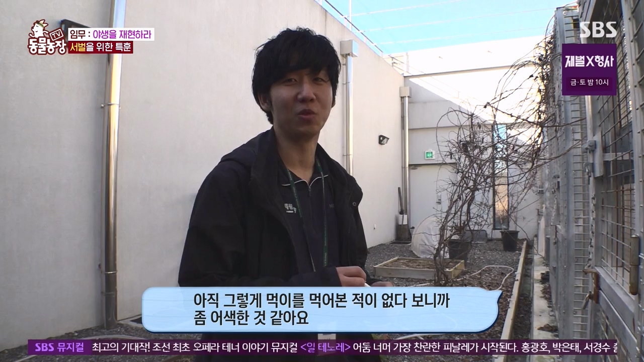 TV 동물농장.E1156.240129p-NEXT.mp4_20240128_191736.701.jpg