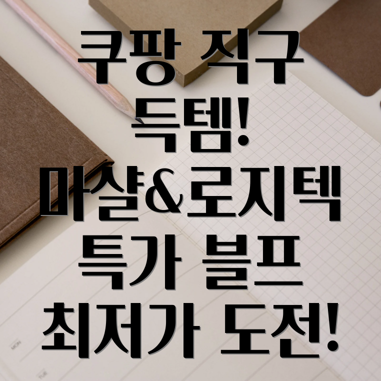 쿠팡 로켓직구 블랙프라이데이