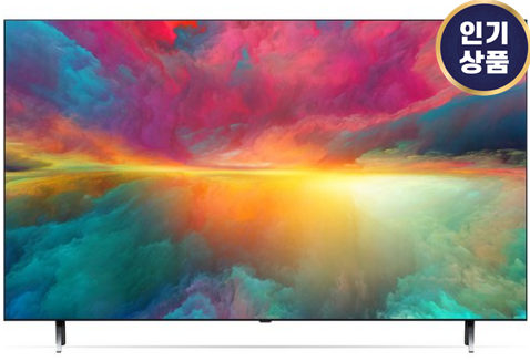  65QNED80KRA LG전자 4K UHD QNED TV 추천 방문설치가능제품