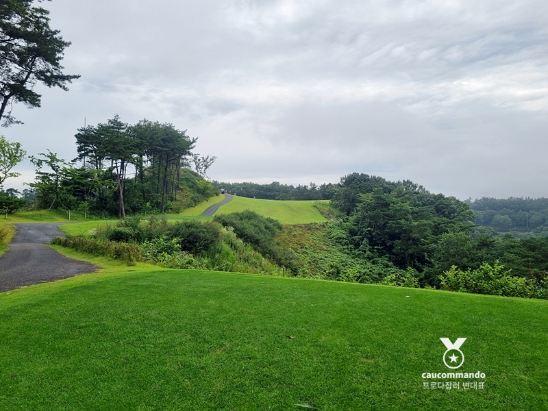 연예인 골프 순위 연예인들이 참여하는 11