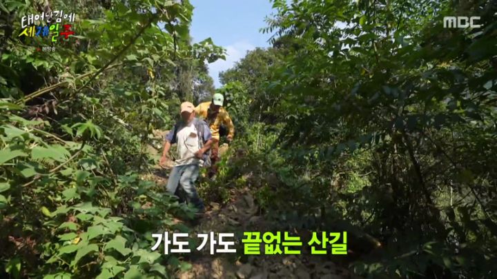  태어난 김에 세계일주(태계일주) 6회.230115.KOR.2160p.mp4.torrent