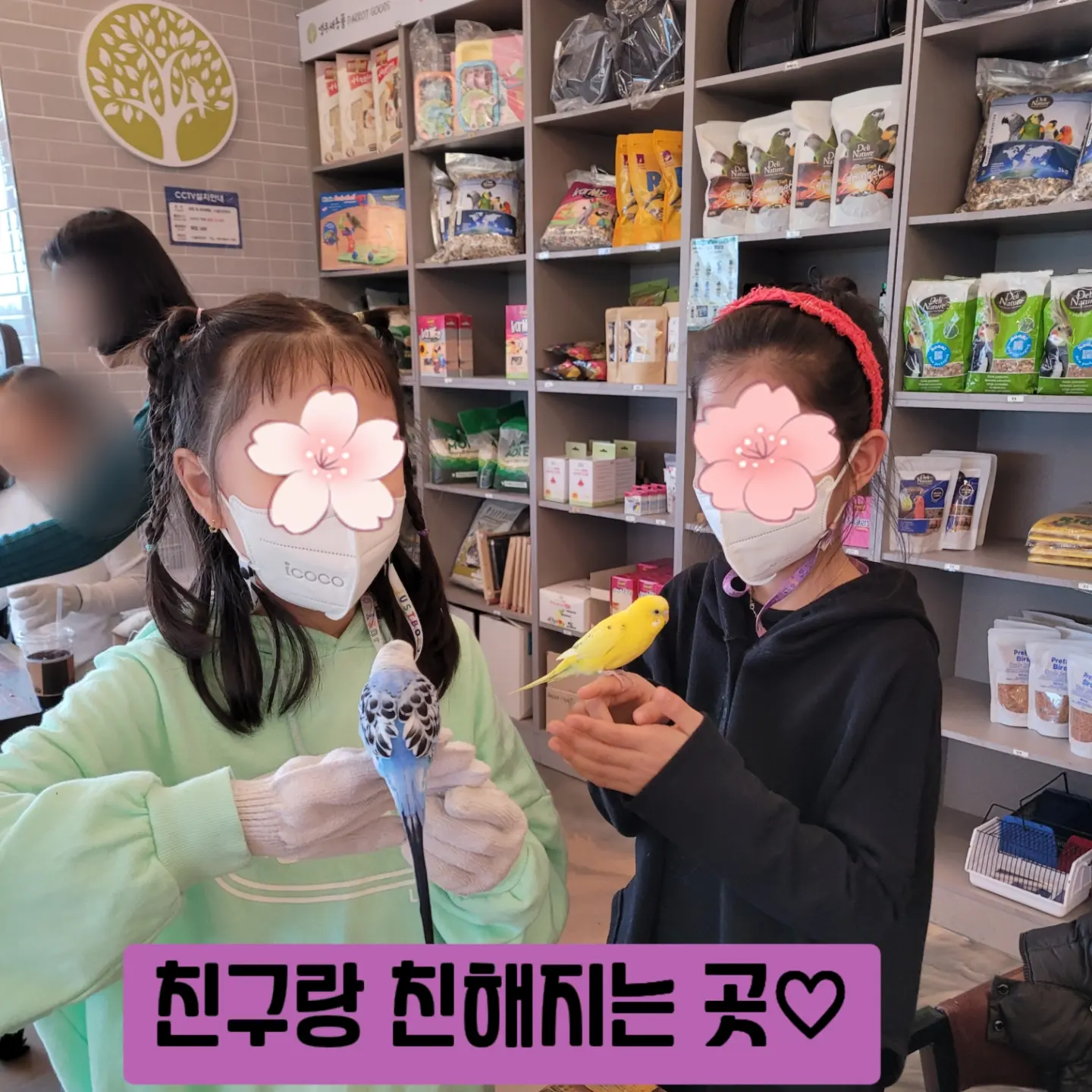 찐소 이미지