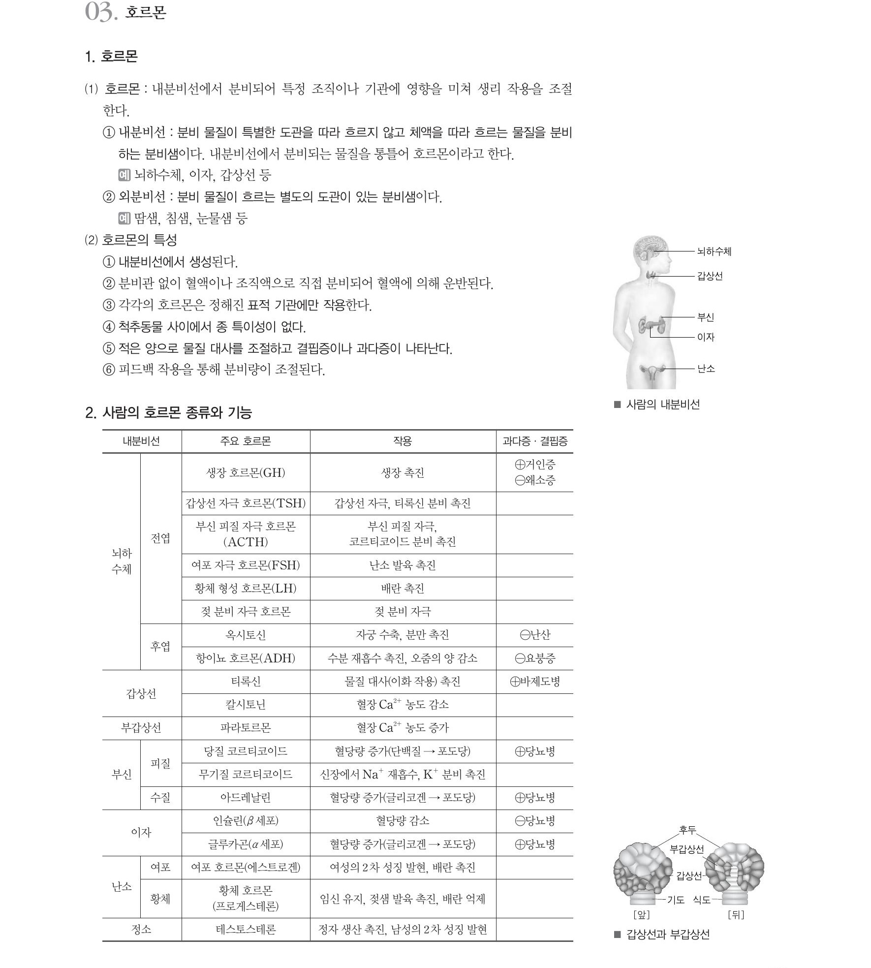  생명과학1 개념정리-호르몬, 내분비선, 외분비선, 호르몬의 종류, 항상성 조절의 원리, 혈당량 조절, 삼투압 조절, 체온 조절