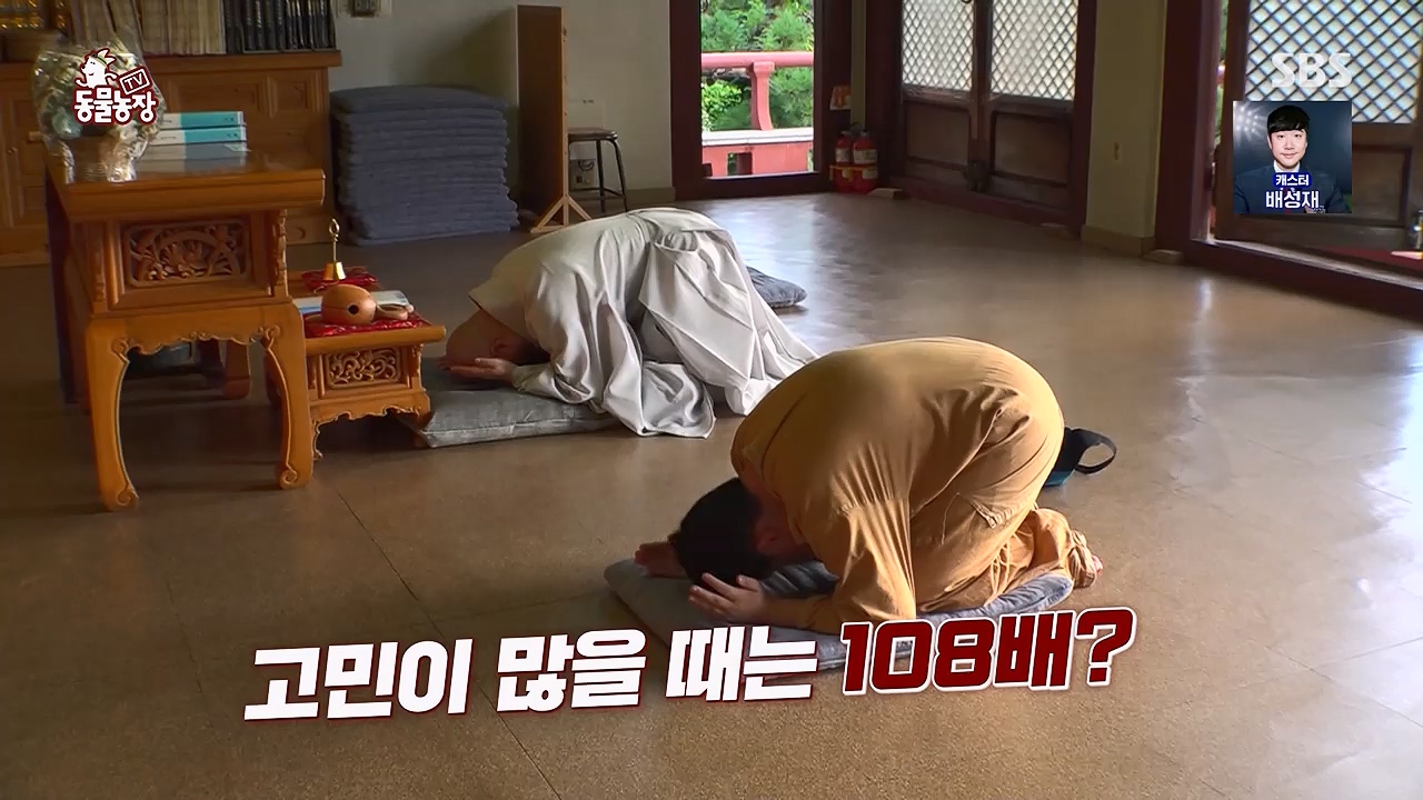TV 동물농장 1189화 다시보기.ts_20240922_161955.207.jpg