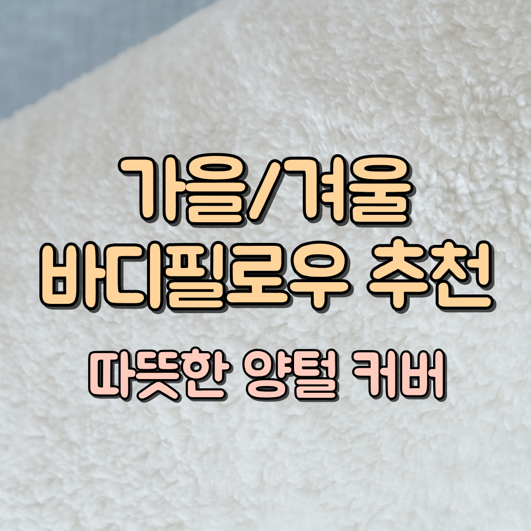 바디필로우 추천 대표이미지