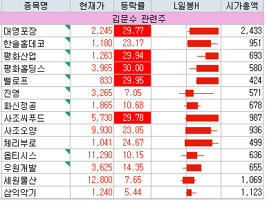 김문수 관련주 근황 (1/23일 상승치)