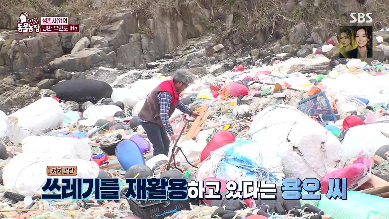 TV 동물농장.E1172.240520p-NEXT.mp4_20240519_162718.666.jpg