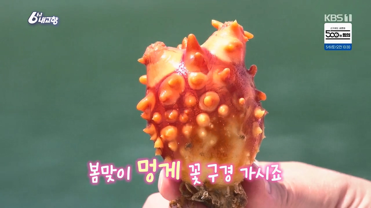 6시 내고향.E7779.230503p.H264-F1RST.mp4_20230505_181009.176.jpg