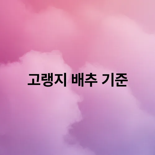 고랭지 배추 기준
