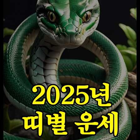 2025년 띠별 운세 썸네일