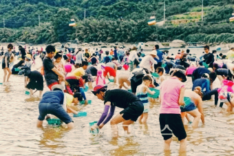 하동 섬진강 재첩축제