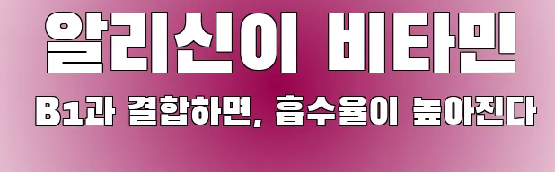  알리신이 비타민 B1과 결합하면, 흡수율이 높아진다