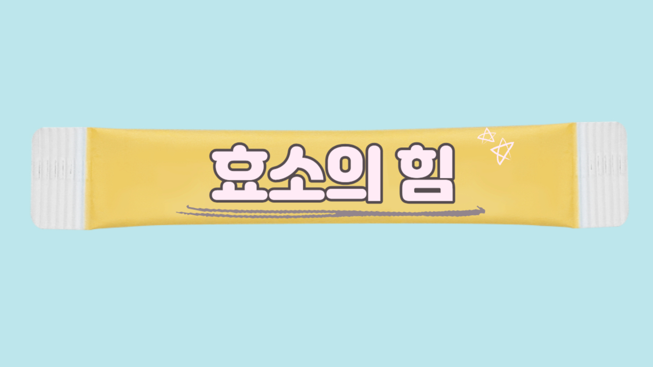  효소의 힘 - 건강한 현대인의 삶에 필수적인 이유