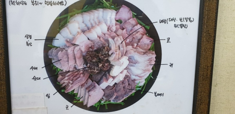 티비조선3 [방송촬영]렌트카차량지원 5
