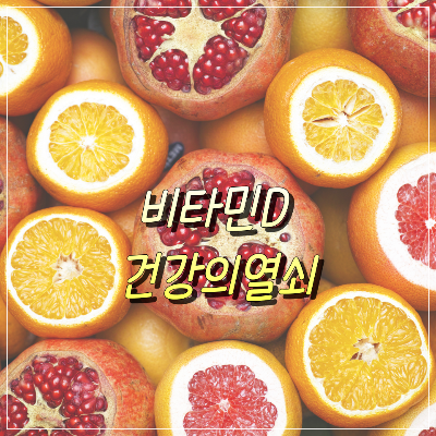  비타민 D: 건강의 열쇠, 다양한 공급처를 찾아서