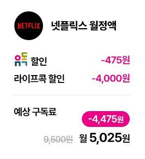 피클플러스로 넷플릭스 할인받기