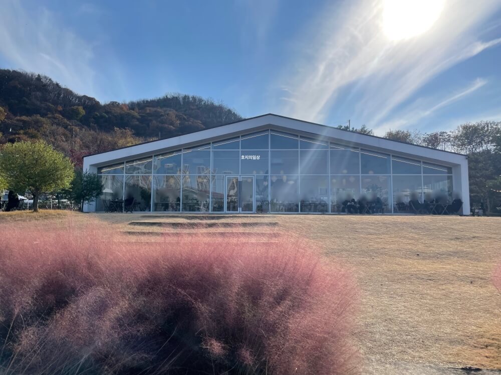 천안 성거 핑크 뮬리 뷰맛집 카페 이숲 - 매장 야외 풀밭