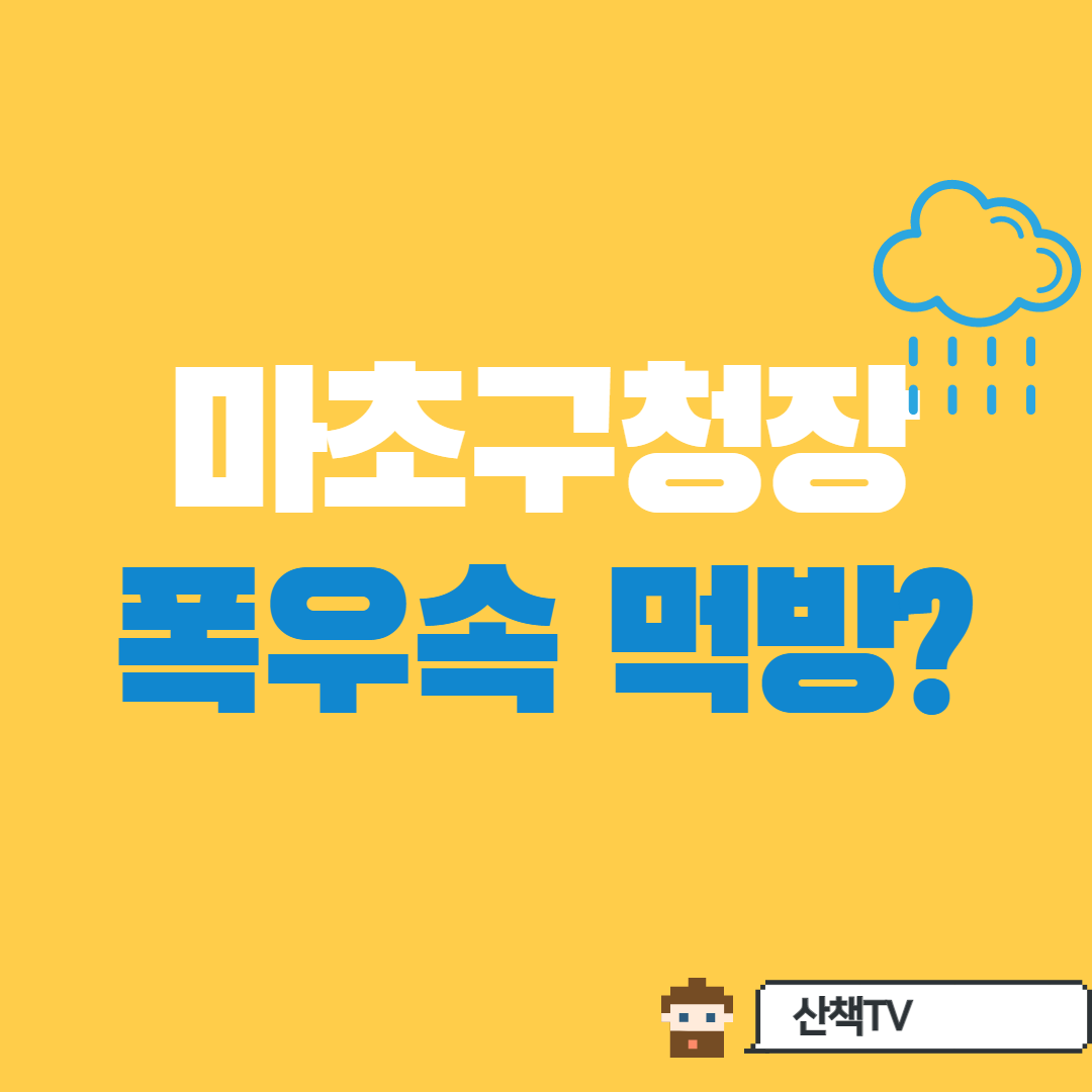  이래서 지지율 20% , 국힘 마포구청장 폭우속 전집에서 꿀맛타령?