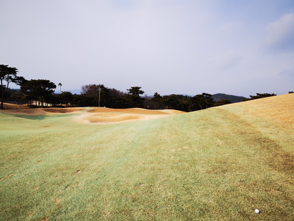 마제스티 1박2일 함평 엘리체CC 35