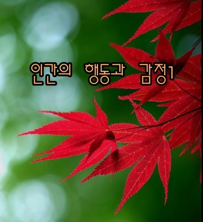  인간의 행동과 감정 - 해몽1;기쁨과즐거움,슬픔,근심걱정,웃음,미소,마주보면,울음,통곡,흐느낌,기쁨의눈물 등.