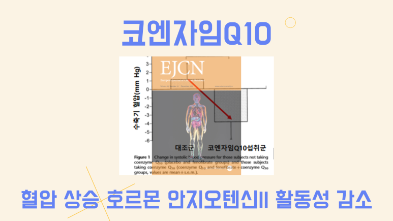 고혈압증상, 40대 적합한