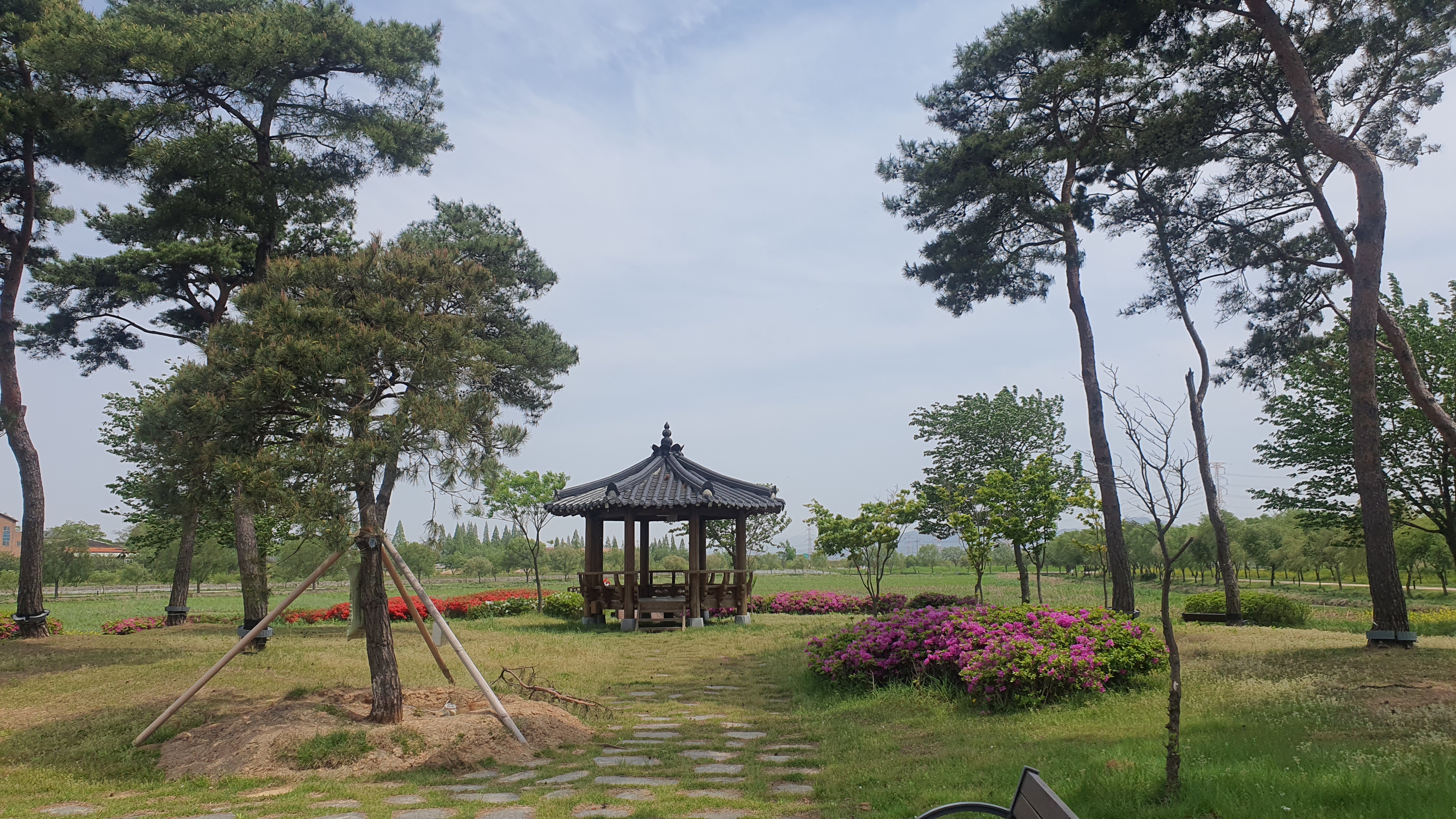 당진 합덕 가볼만한 곳 : 당진 합덕제 수변공원, 합덕제 생태관광체험센터