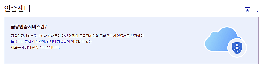 금융인증서-발급