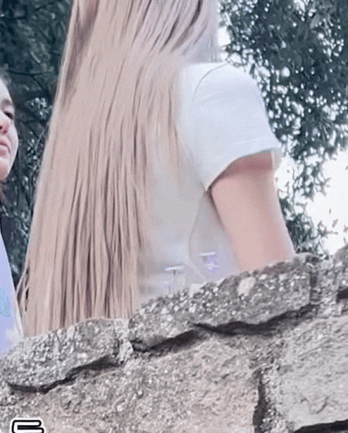 img.gif