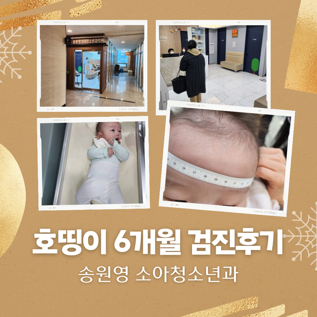  사랑하는 아들의 6개월 영유아 검진후기 (송원영 소아청소년과)