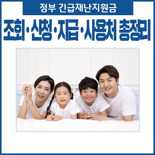 조회·신청·지급·사용 총정리, 정부긴급재난지원금은 어떻게 3