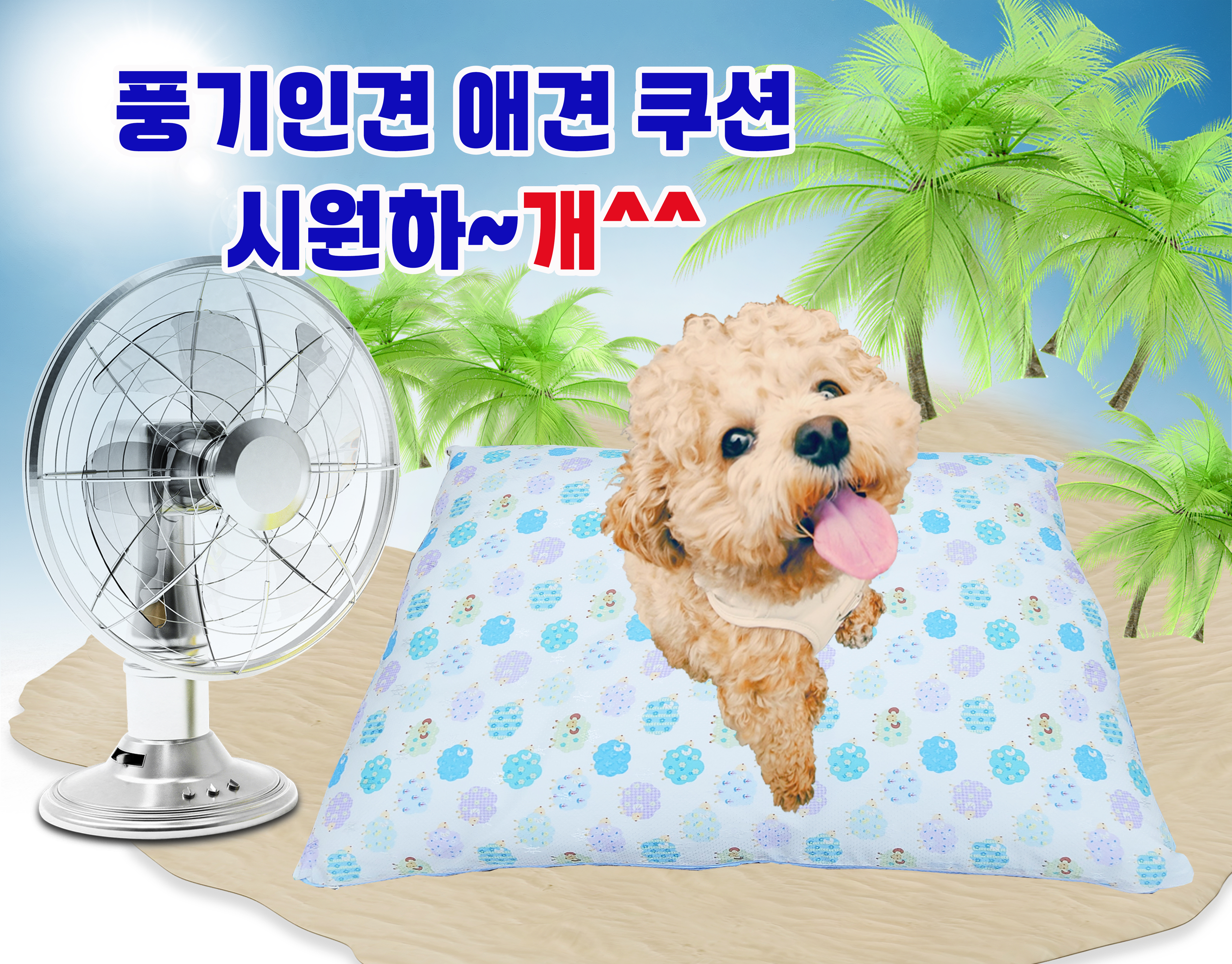 풍기인견 이미지