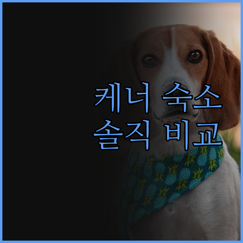 케너 숙소 고민 끝! 후회 없는 선택