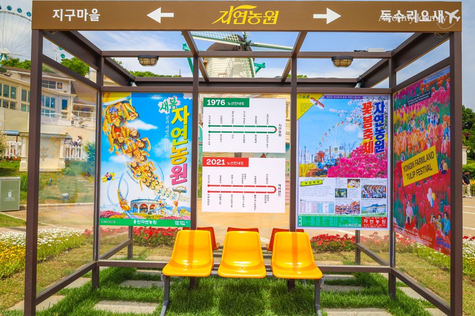 할인으로 간단하게 에버랜드 자유이용권 29