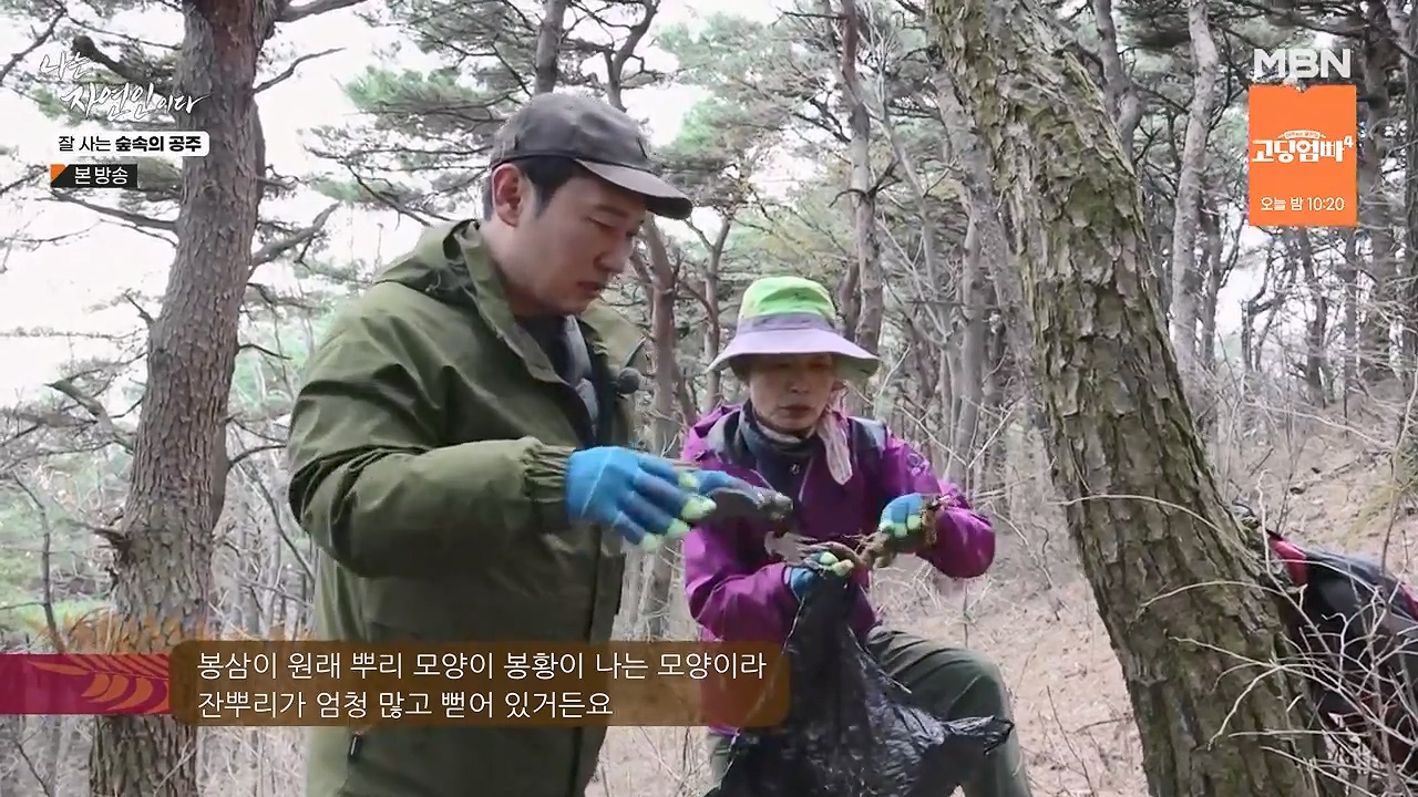 나는 자연인이다.E582.231130p-NEXT.mp4_20231130_195308.869.jpg