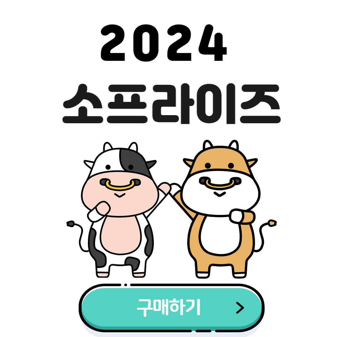 소프라이즈 2024