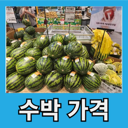 수박 가격