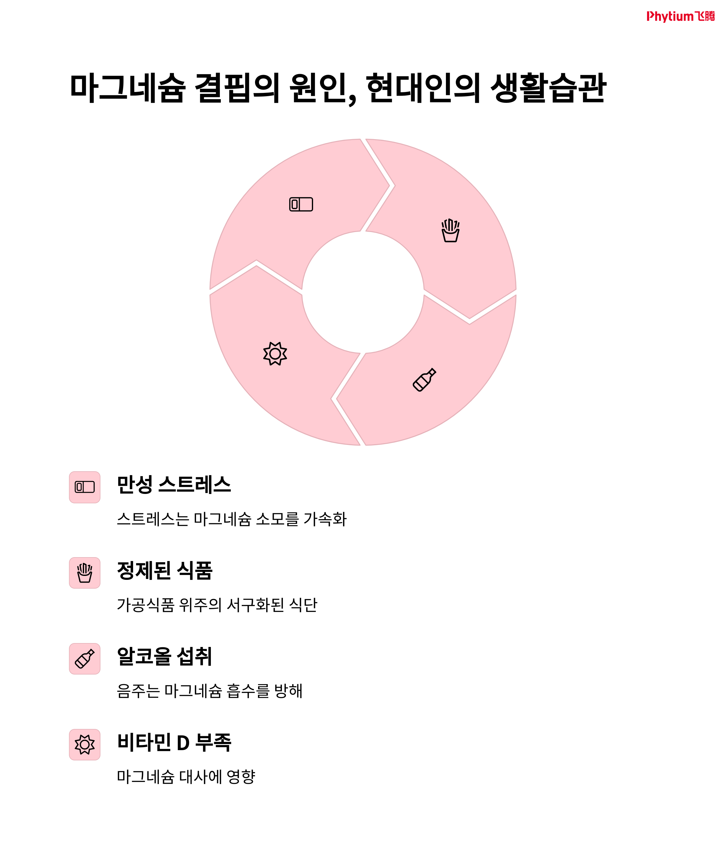마그네슘 결핍의 원인을 설명하는 인포그래픽. 만성 스트레스, 정제 식품, 음주, 비타민 D 부족 등이 시각적으로 표현됨.