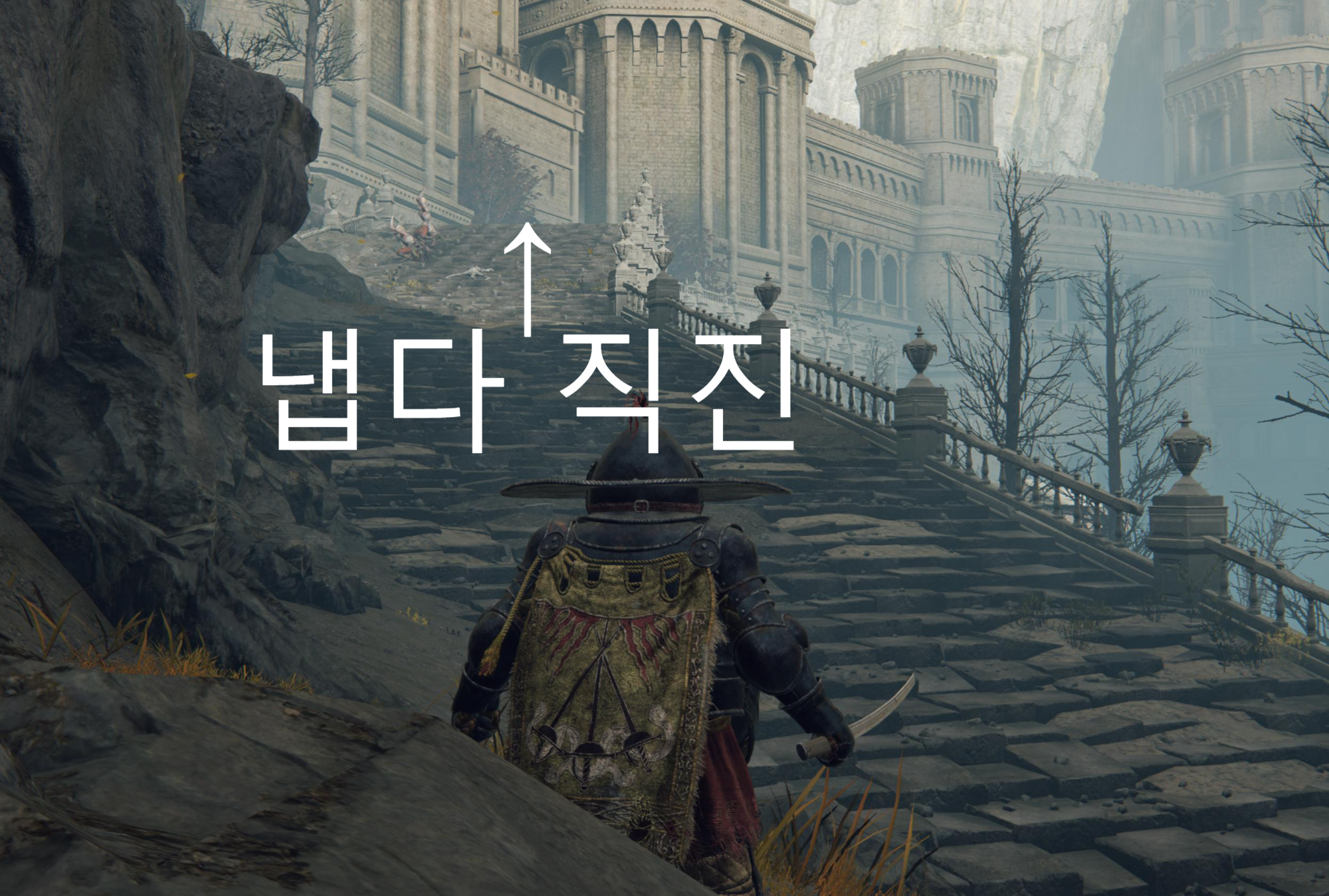엘든링 모르고트의 거대한룬 활성화!! 동 알터 신수탑!! 엘든링 모르고트의 거대한룬 활성화!! 동 알터 신수탑!!