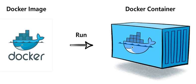 Docker Image - Docker Container