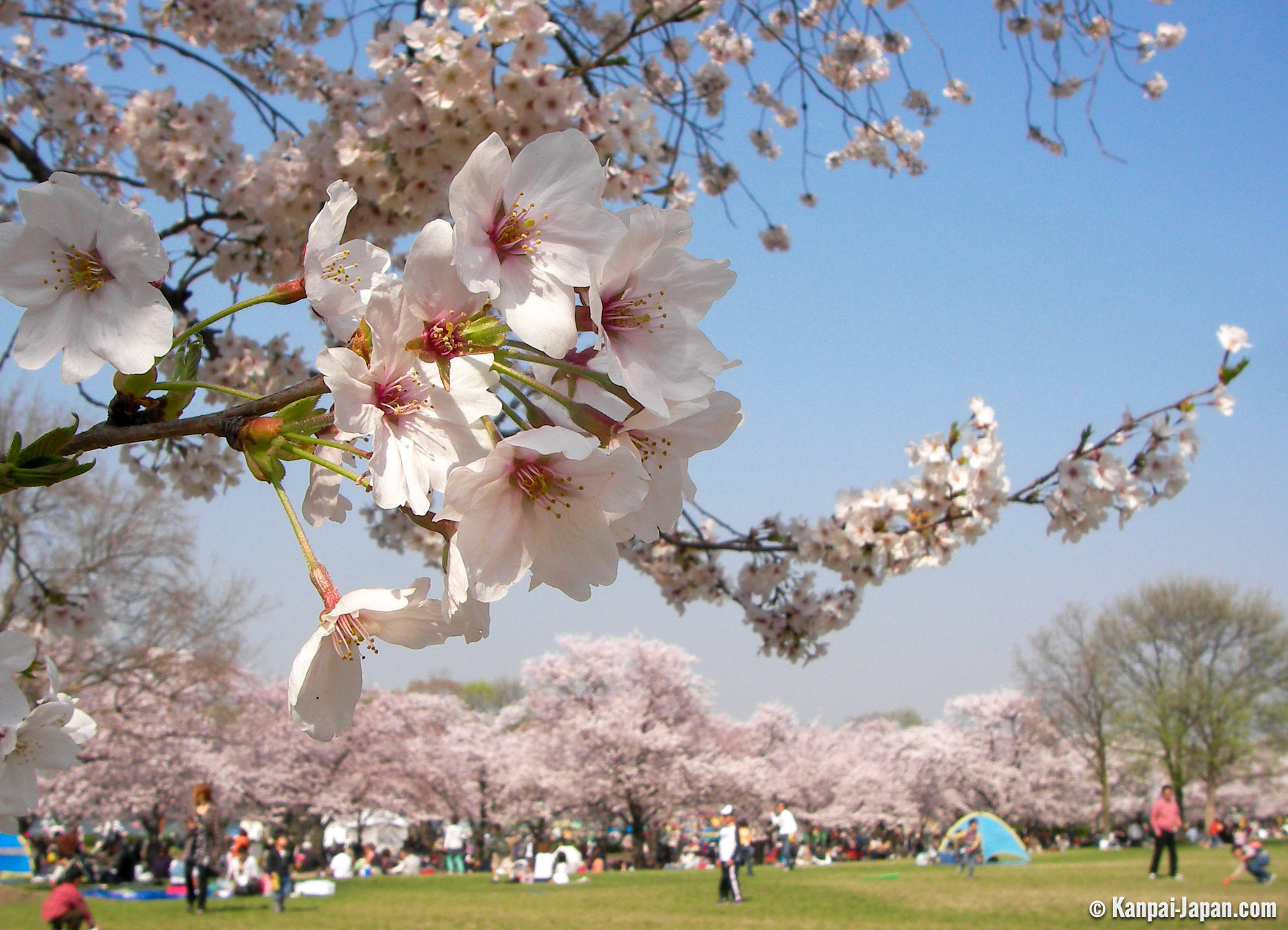 엑스포 70 기념 공원
